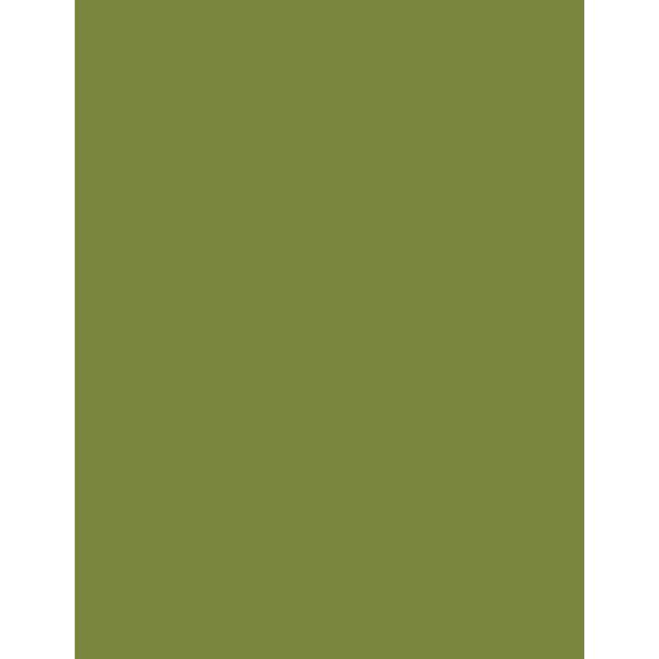 11_OLIVE GREEN Thumbnail