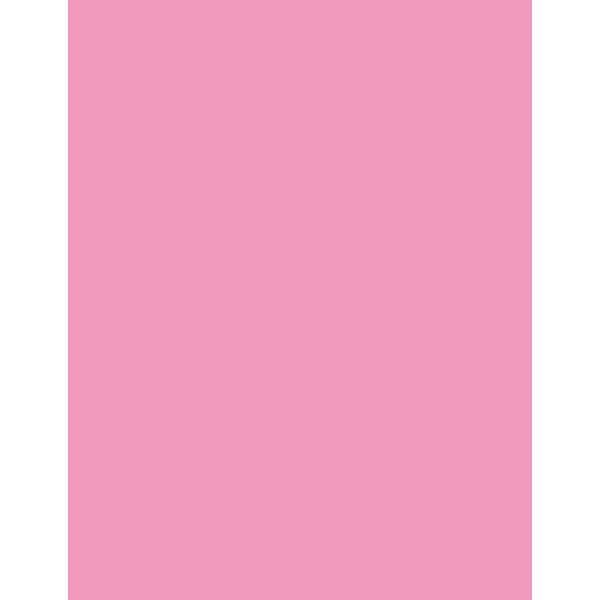 22_LIGHT PINK Thumbnail